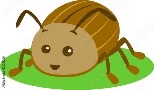 Green Beetle Isolated