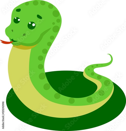 Snake On A White Background Vector Illustration