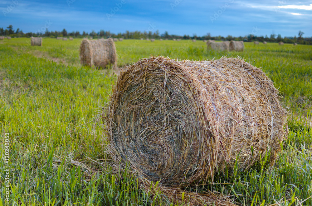 Haystack on a background of cloudy sky. Haystack on a background of cloudy sky.