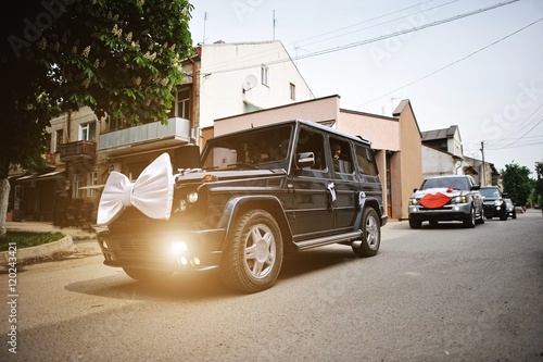 Stylish wedding cortege of cars with a bow and hat