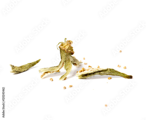 dry okra isolated on the white backgroud.