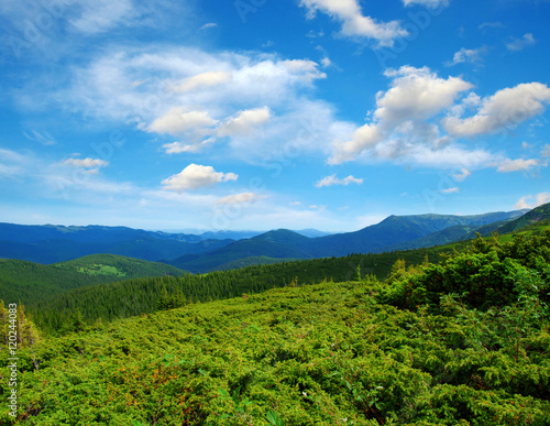 Mountain landscape in the summer