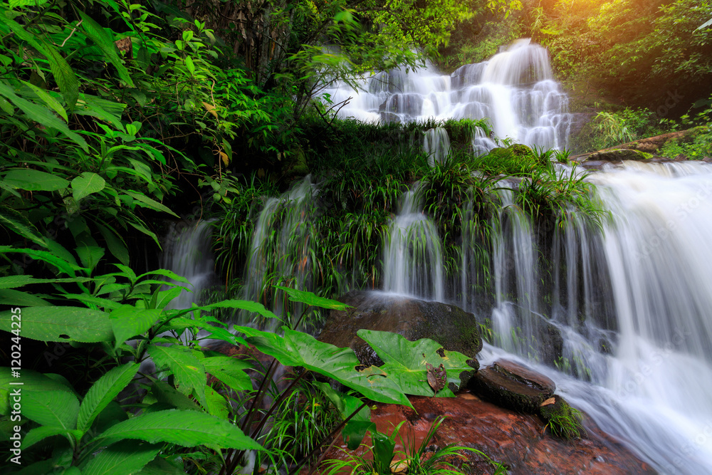 Obraz premium Mun Daeng Waterfall, the beautiful waterfall in deep forest during rainy season at Phu Hin Rong Kla National Park in Thailand