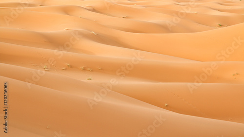Dunas do Deserto