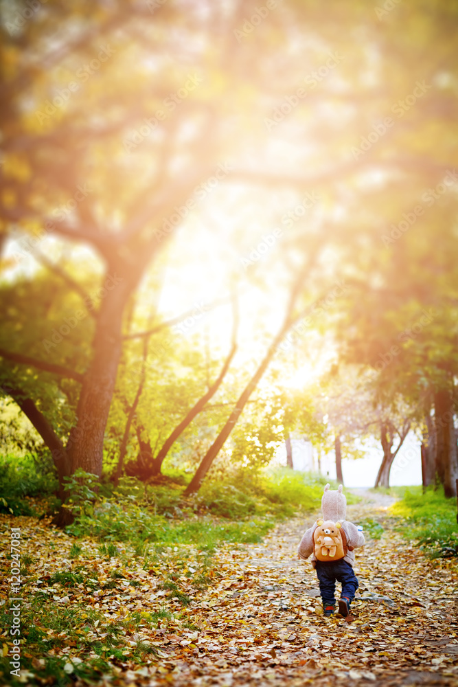 Fototapeta premium Cute little boy in funny clothes travelling in a forest