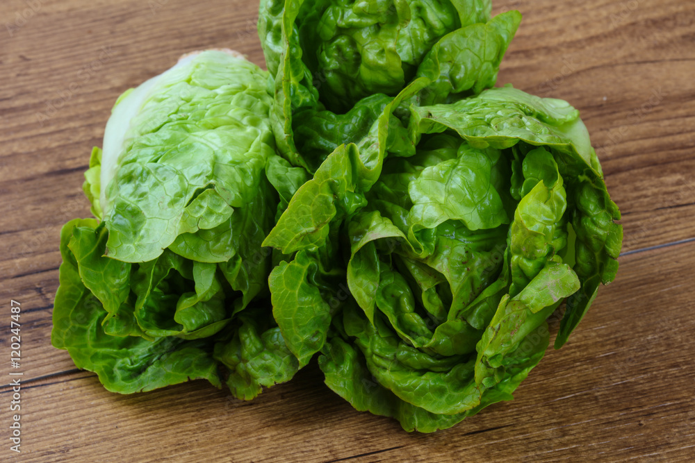 Obraz premium Green salad