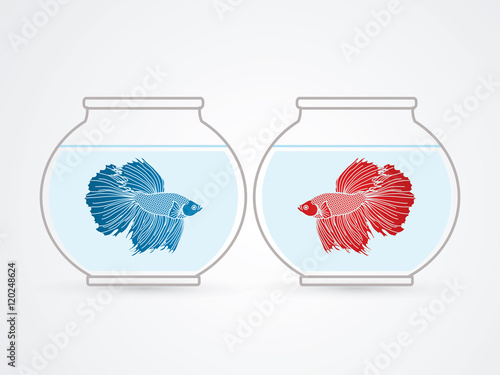 Red and Blue Siamese fighting fish in glass bowl graphic vector. photo