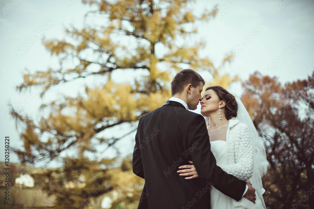 happy couple spend wonderful time in forest happy couple spend wonderful time in forest