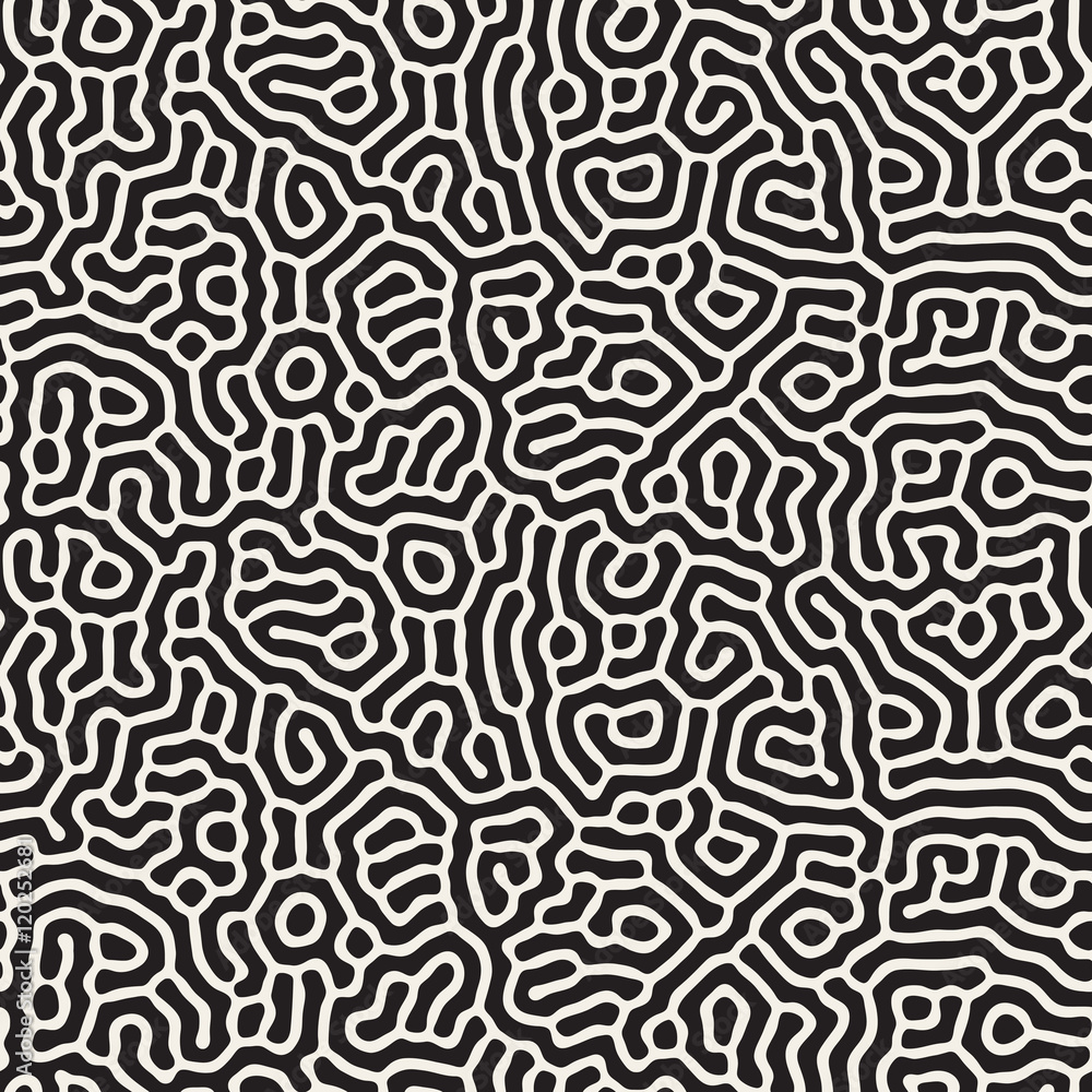 Vector Seamless Black and White Organic Lines Pattern