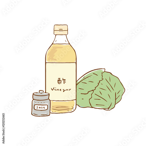 酢 キャベツ イラスト Stock ベクター Adobe Stock 酢 キャベツ イラスト Stock ベクター Adobe Stock