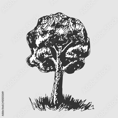 Stylized tree.  Black tree sketch silhouette isolated on white background. Vector illustration. Hand drawn.