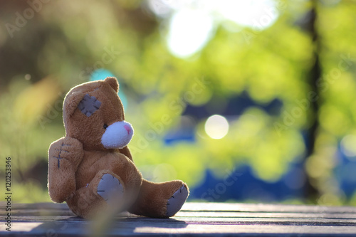 toy teddy bear table outdoor