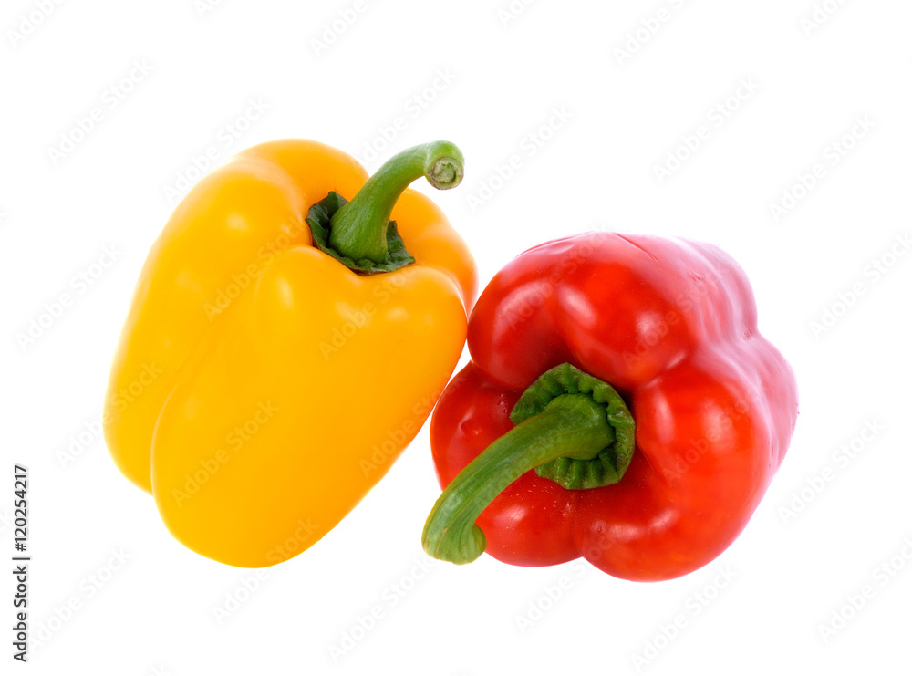 bell pepper on white background bell pepper on white background