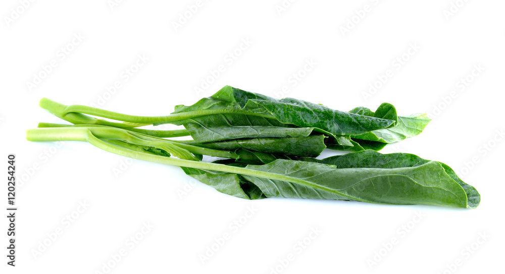 Chinese kale vegetable on white background Chinese kale vegetable on white background