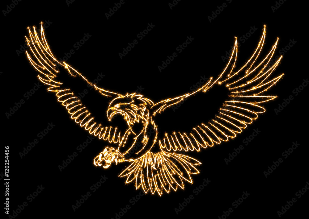 Fototapeta premium Adler