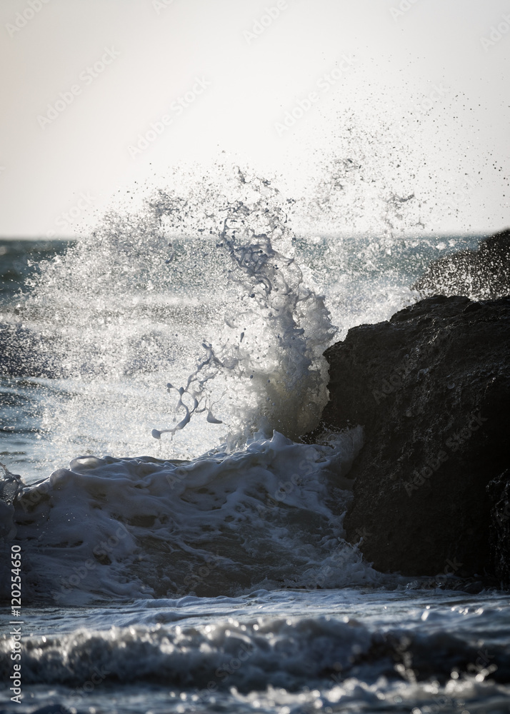 Obraz premium Persian Gulf, Qeshm Island, Iran