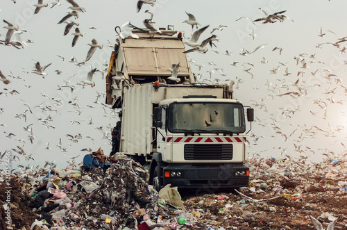 Garbage truck on a landfill 