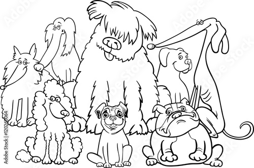 purebred dogs coloring book
