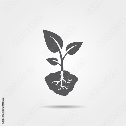 Sprout vector icon