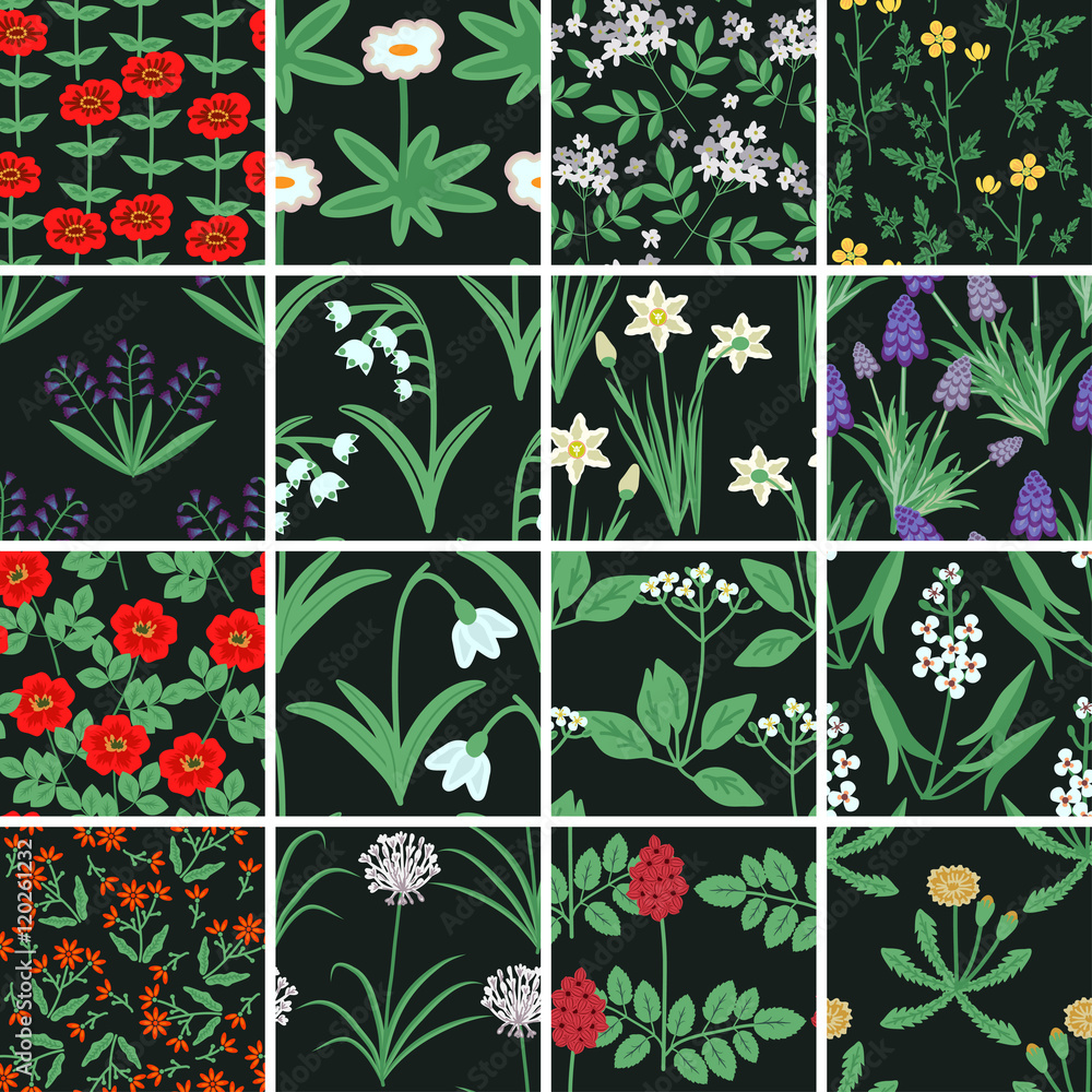 Seamless floral patterns Seamless floral patterns