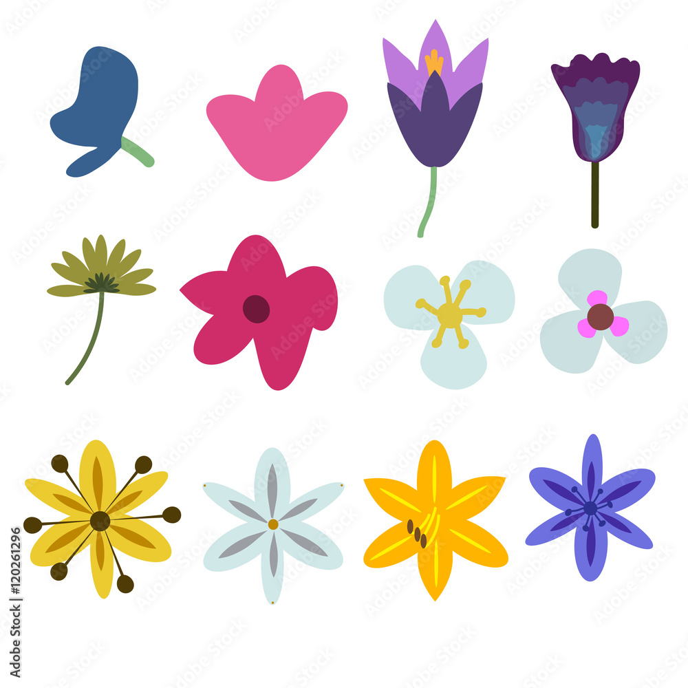 Naklejka premium Flowers vector set