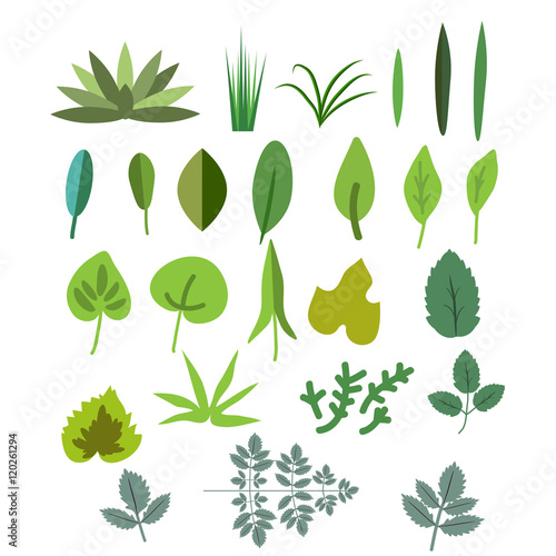 Foliage vector set