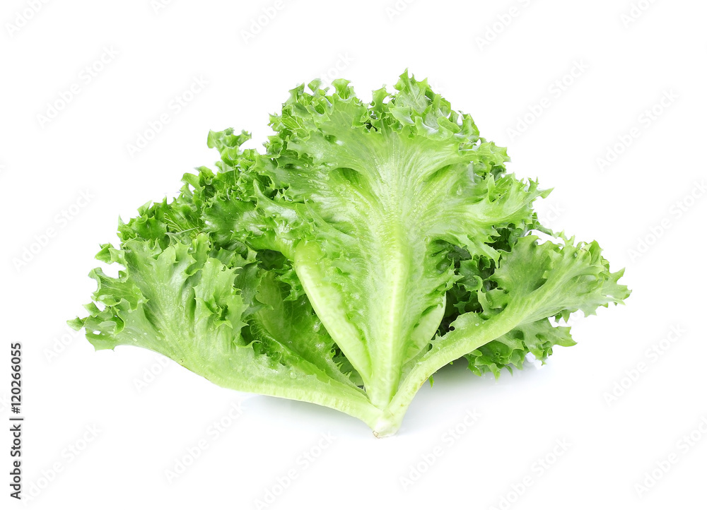 Fresh green lettuce isolated on a white background Fresh green lettuce isolated on a white background