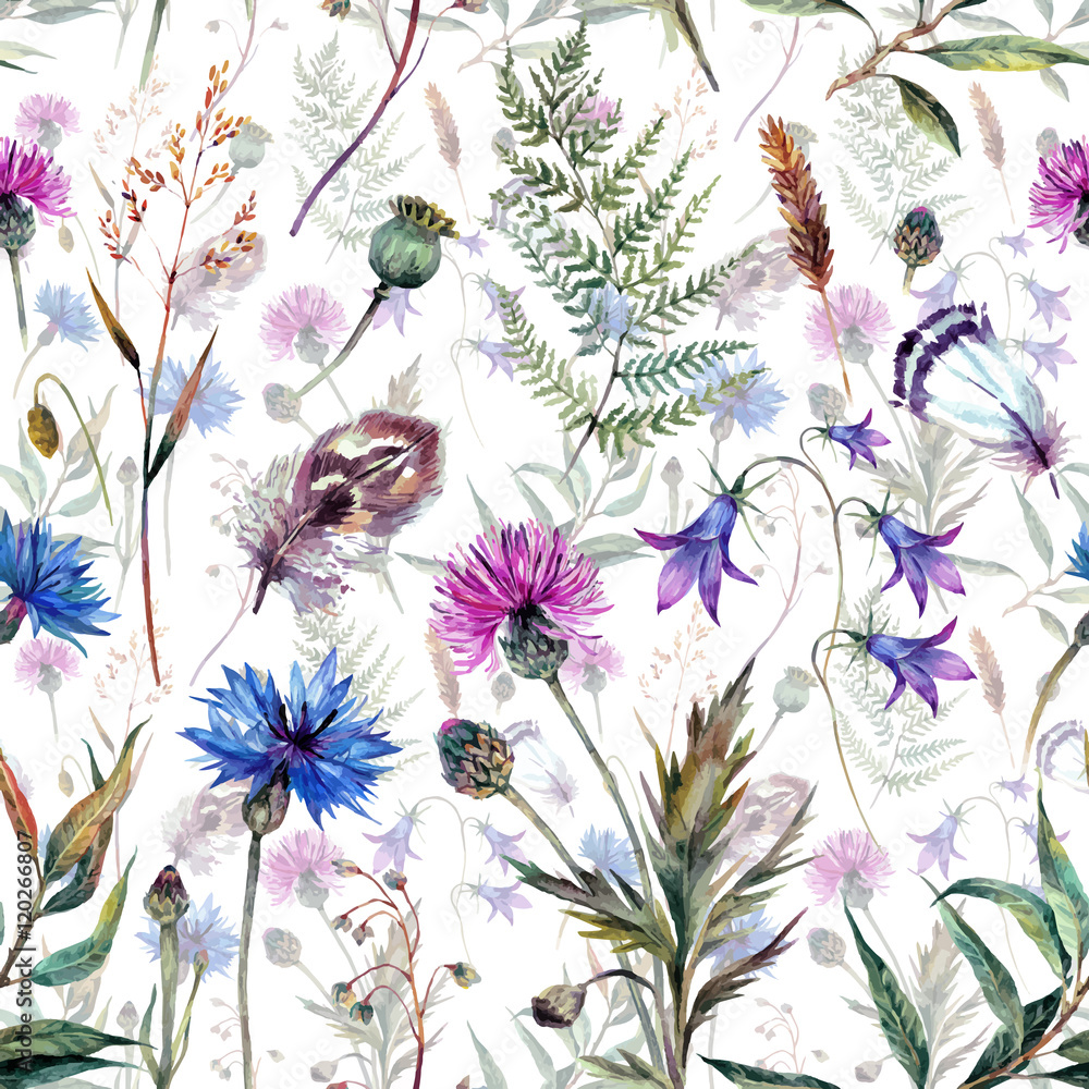 Fototapeta Hand drawn watercolor wildflowers