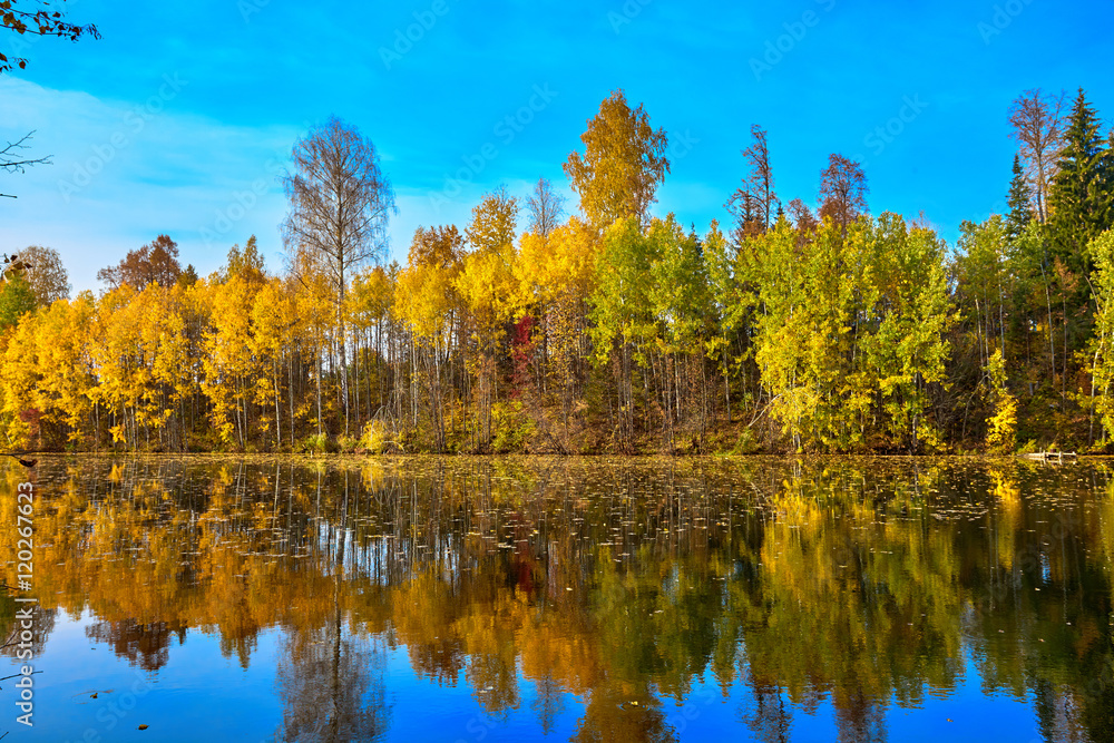 Autumn, yellow trees, water
