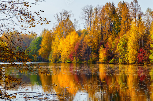 Autumn, yellow trees, water 