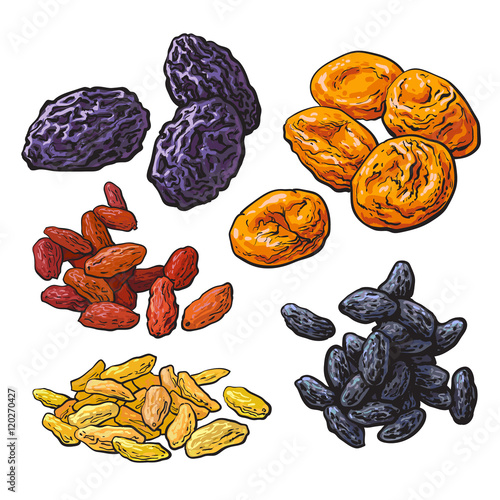 Set of dried fruits - prunes, apricots and raisins, sketch style vector illustration isolated on white background. Drawing of dries plums, dries apricots and a mix of red, golden and black raisins