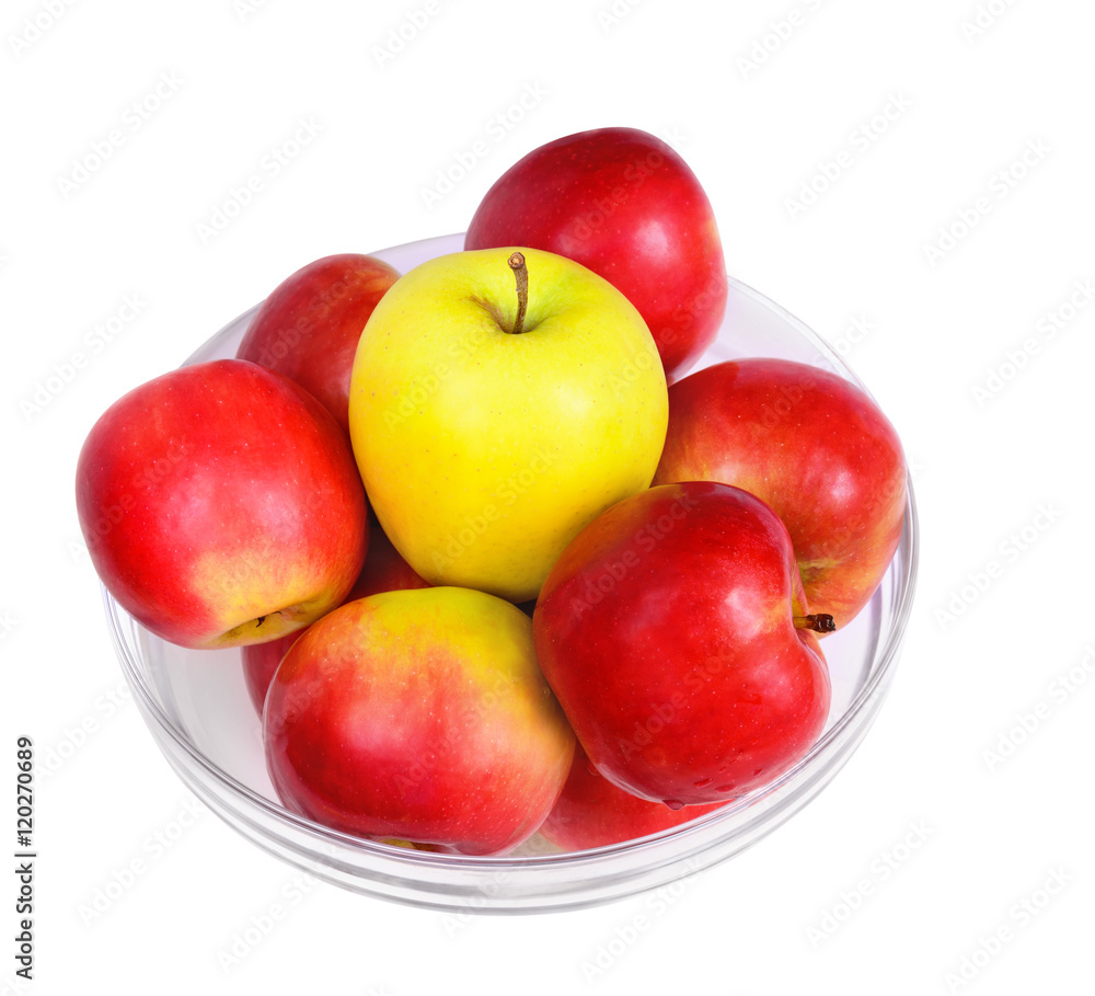 Apples in a glass plate Apples in a glass plate