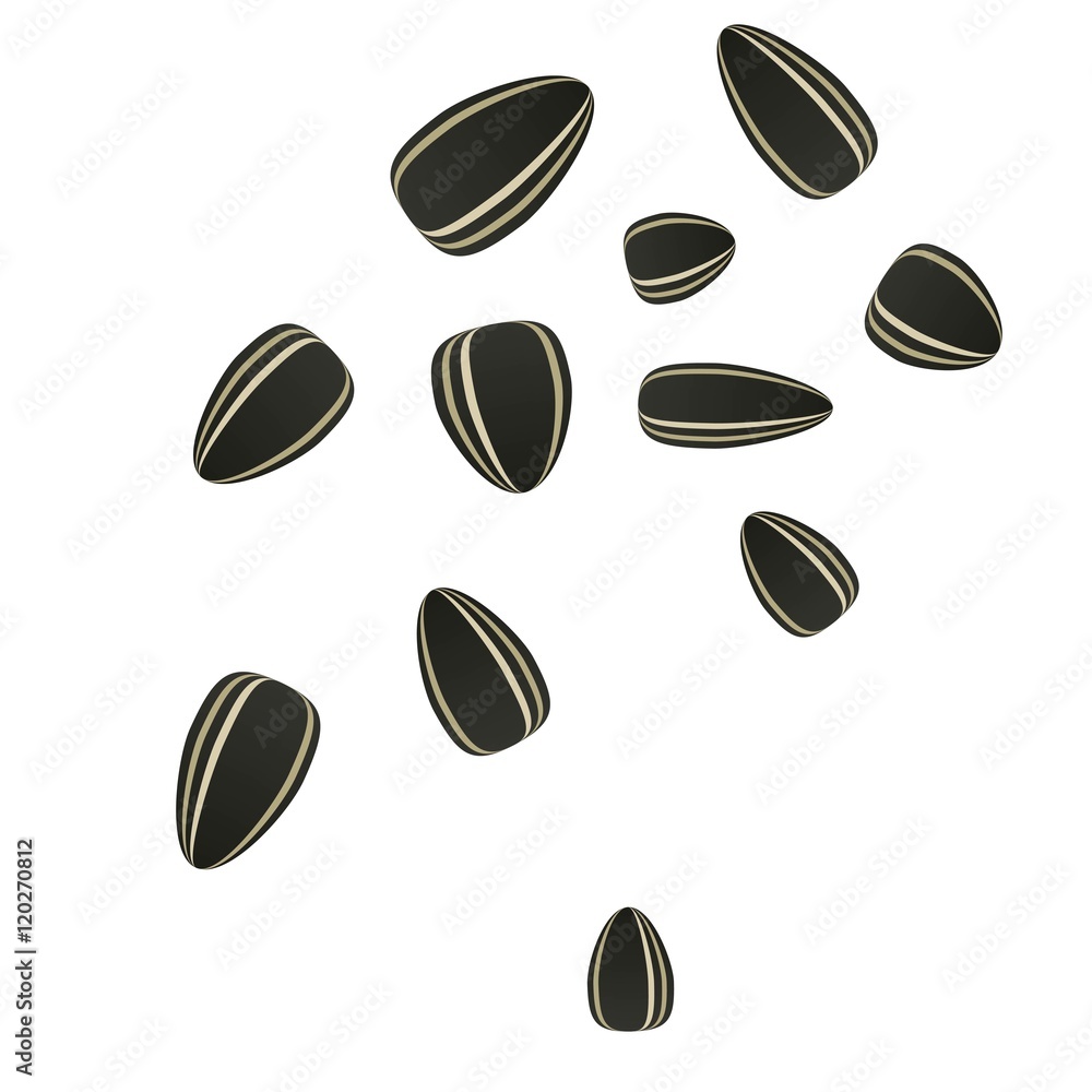 Stock vector sunflower seeds on a white background. Scattered in chaotic manner Stock vector sunflower seeds on a white background. Scattered in chaotic manner