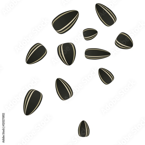 Stock vector sunflower seeds on a white background. Scattered in  chaotic manner