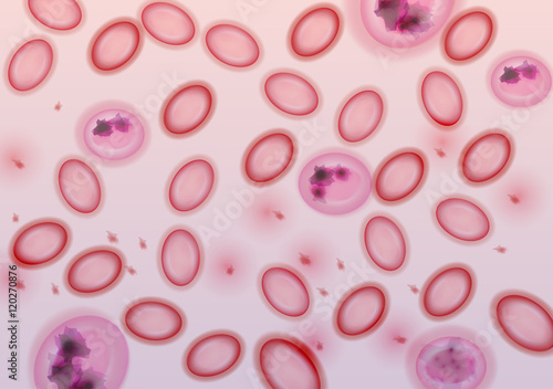 Blood Cells in Plasma - Vector Illustration