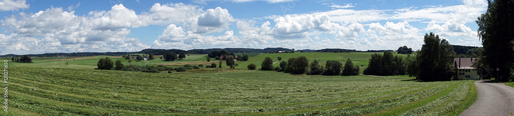 Fototapeta premium Panorama of g field