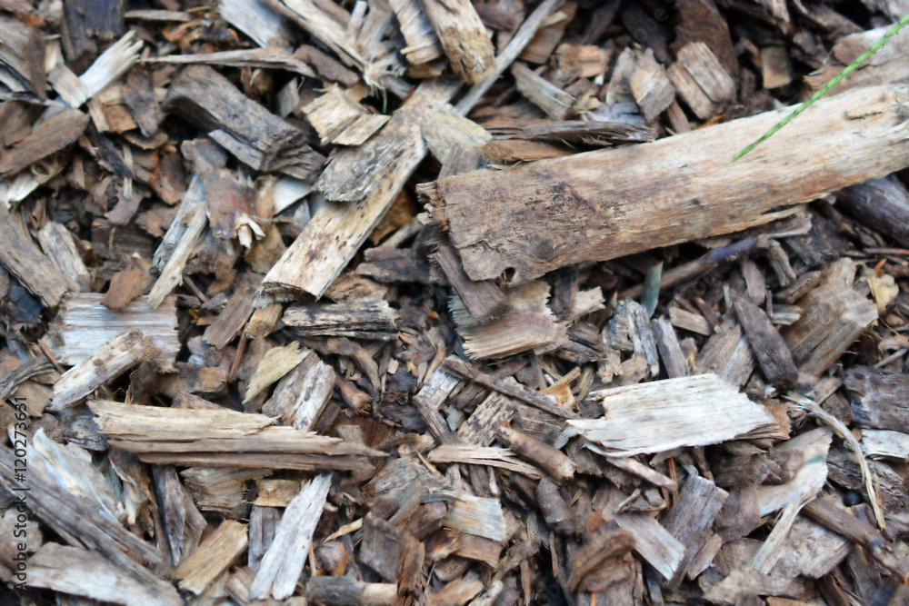 Pile of Mulch Chips and Pieces Pile of Mulch Chips and Pieces