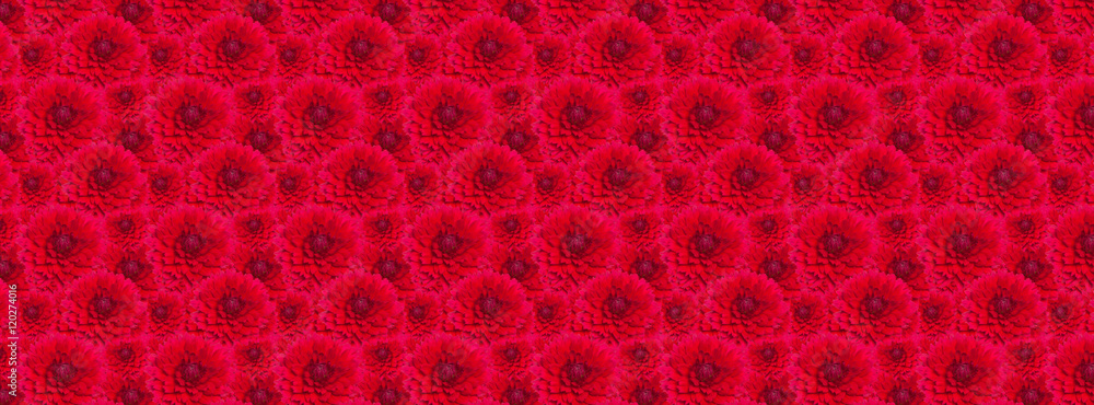 cover texture blossomed lush red dahlia cover texture blossomed lush red dahlia