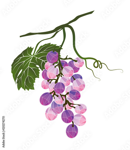 Bunch of grapes stylized polygonal