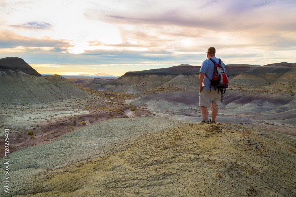 Fototapeta premium Little Painted Desert in Arizona