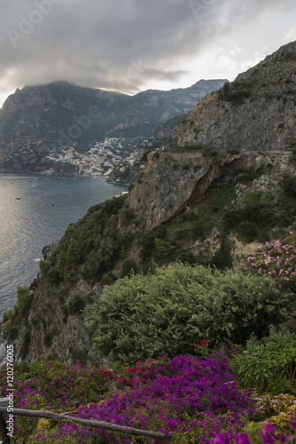 View of wildflowers at coast, Amalfi Coast, Salerno, Campania, I