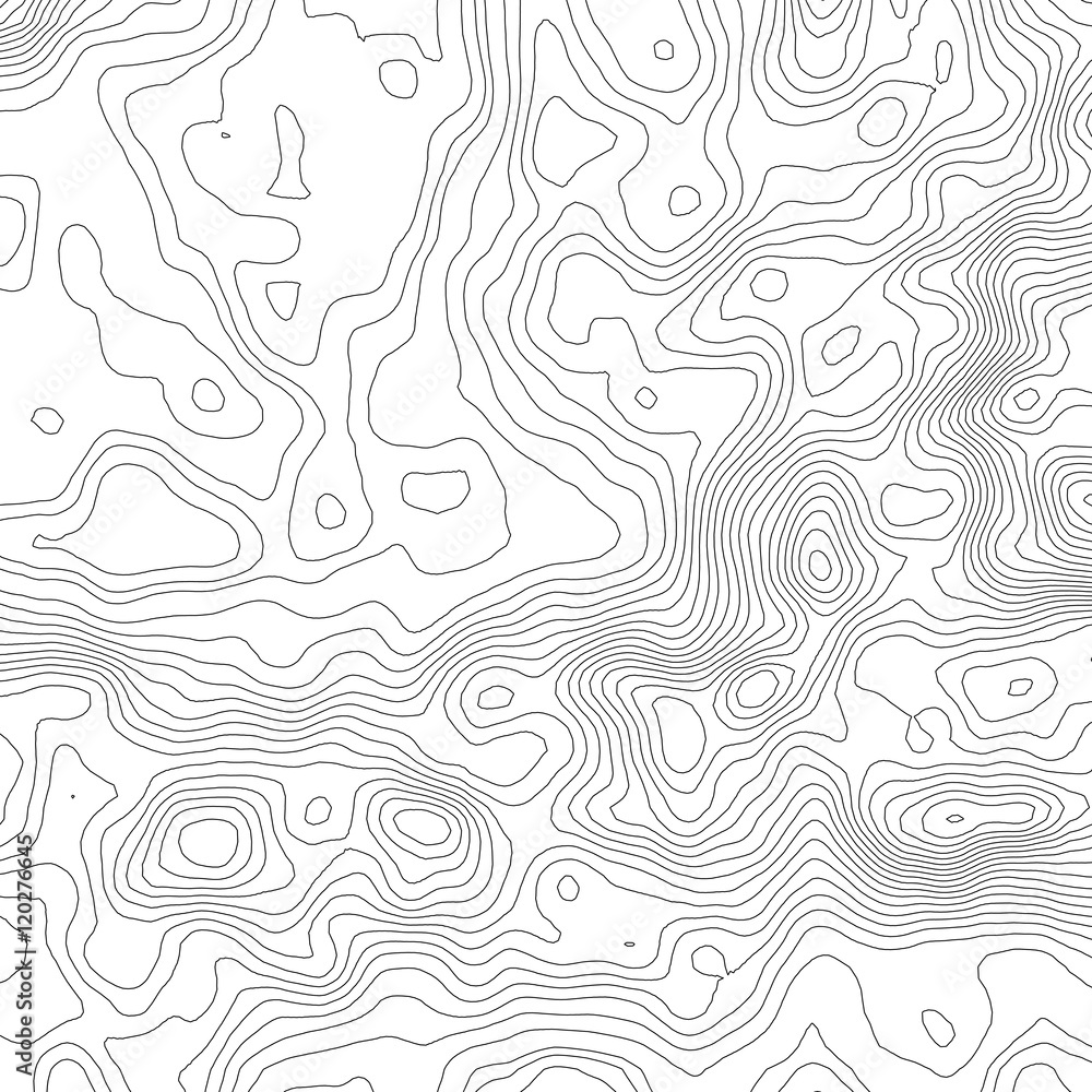 Topographic map background concept with space for your copy. Topography lines art contour , mountain hiking trail , Shape vector design. Computer generated   .