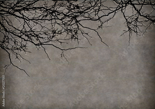 Fototapeta A halloween background of mottled brown and grey with tree branches