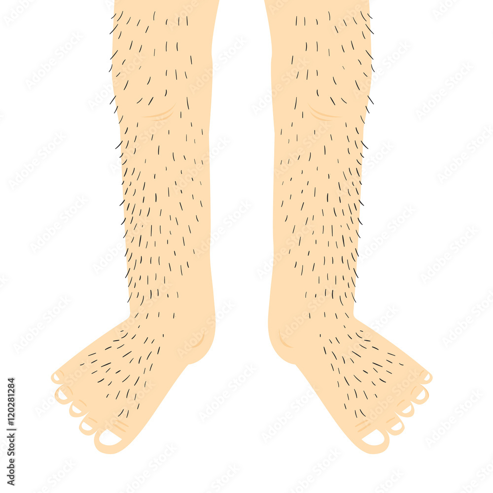 Hairy legs.Vector Illustration. Stock Vector Adobe Stock