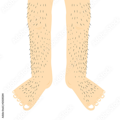 Hairy legs.Vector Illustration.