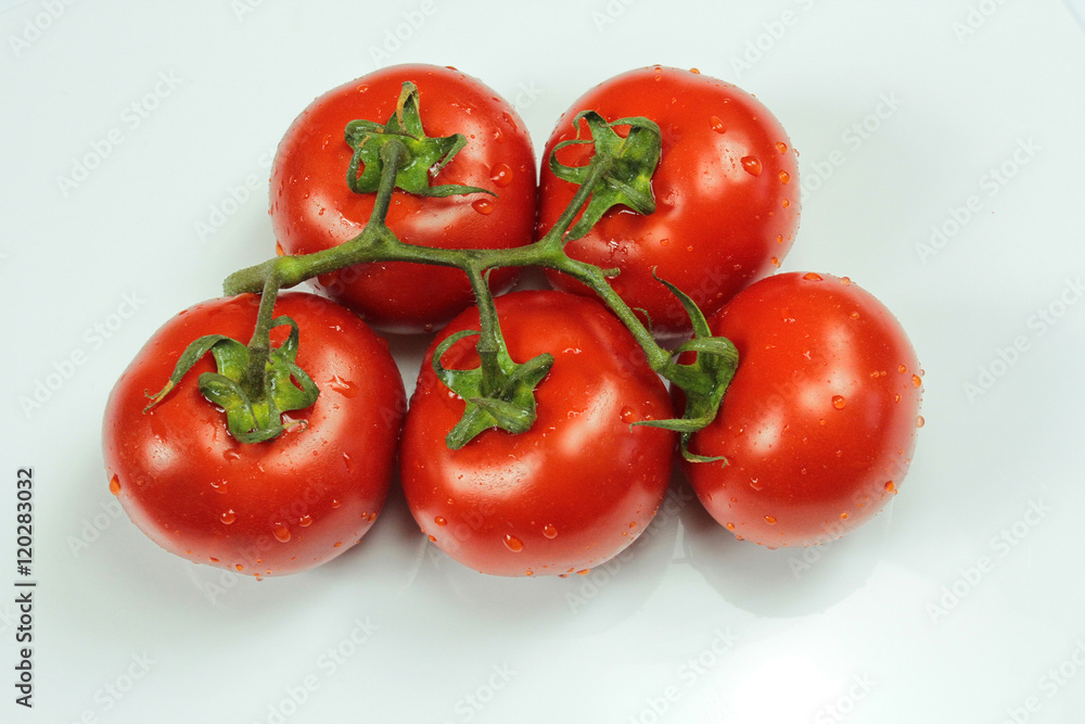tomates 09092016 tomates 09092016