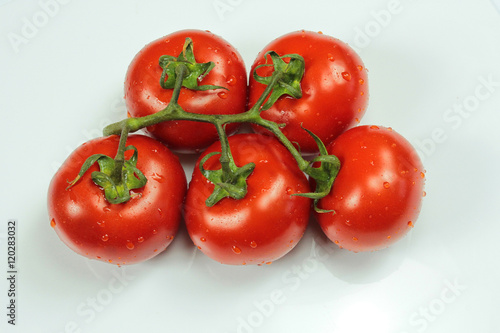 tomates 09092016 © ALF photo