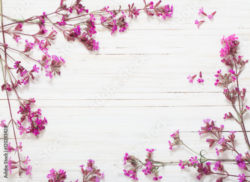 pink flowers on white wooden background