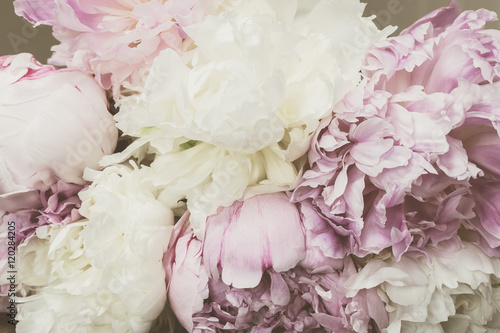 Vintage concept with Peonies. Filtered image with pastel colored flowers in retro style.