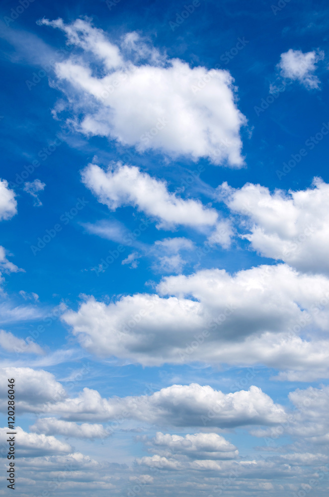 Obraz premium blue sky